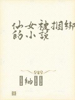 仙女被捆绑束缚的小说