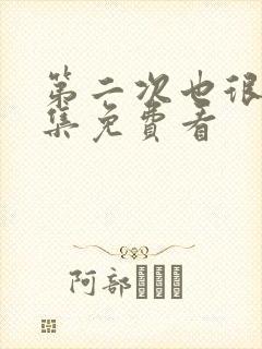 第二次也很美全集免费看封面