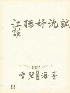 江听妤沈诚渊小说