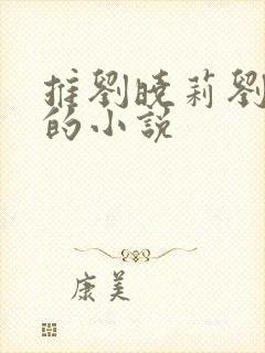 推刘晓莉刘亦菲的小说