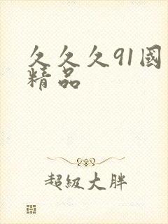 久久久91国产精品