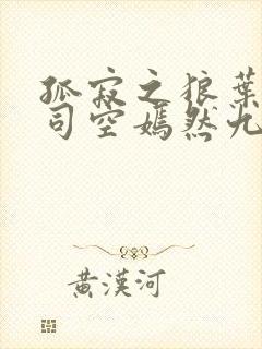 孤寂之狼叶凡与司空嫣然九十章