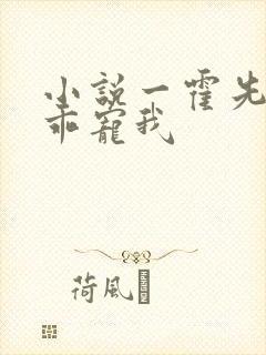 小说一霍先生乖乖宠我