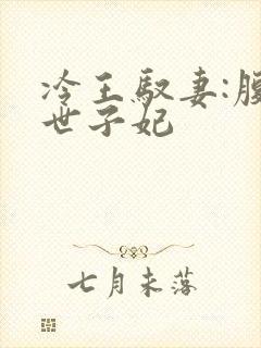冷王驭妻:腹黑世子妃