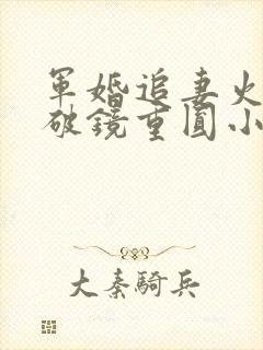 军婚追妻火葬场破镜重圆小说封面