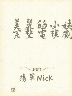 美丽的小姨免费完整电视剧在线观看