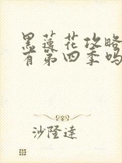 黑莲花攻略手册有第四季吗