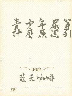 青少年尿等待是什么原因引起的封面