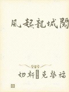 风起龙城阅读全