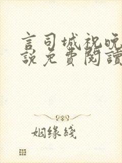 言司城祝晚之小说免费阅读最新章节