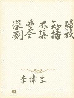 深爱不知归路短剧全集播放免费最新