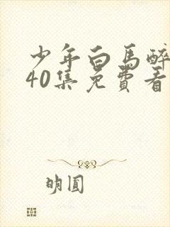 少年白马醉春风40集免费看