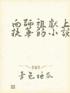 向师祖献上咸鱼扶华的小说免费阅读