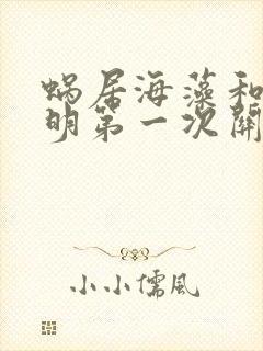 蜗居海藻和宋思明第一次关系在第几集