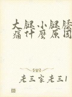 大腿小腿膝盖酸痛什么原因引起的封面