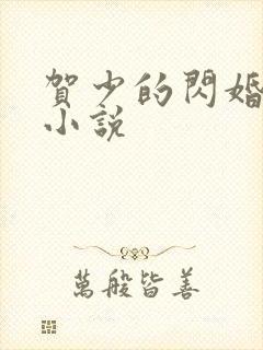 贺少的闪婚暖妻小说