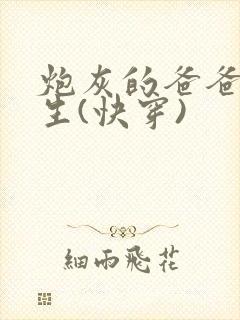 炮灰的爸爸的人生(快穿)