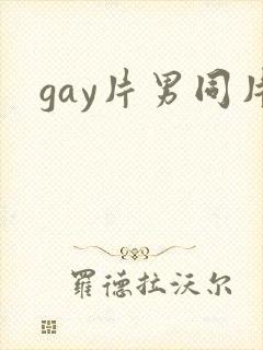 gay片男同片封面