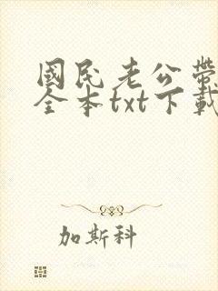国民老公带回家全本txt下载