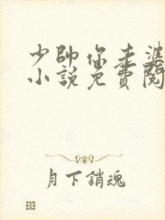 少帅你老婆跑了小说免费阅读