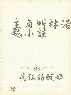 主角叫林浩的穿越小说