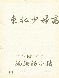 东北少妇高潮