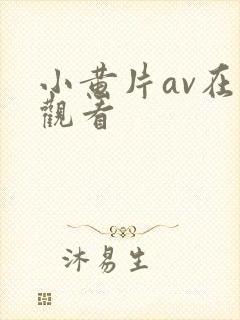 小黄片av在线观看