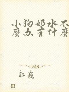 小狗奶水不足怎么办有什么好的方法