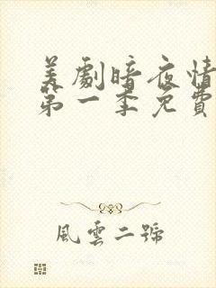 美剧暗夜情报员第一季免费观看全集封面