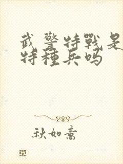 武警特战是属于特种兵吗