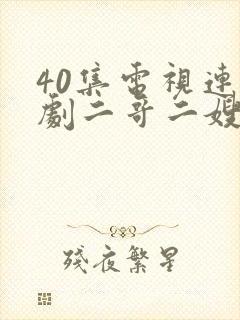40集电视连续剧二哥二嫂