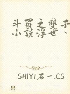 斗罗之双子斗罗小说浮世丶