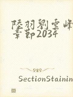 陆羽刘云峰最新章节2034