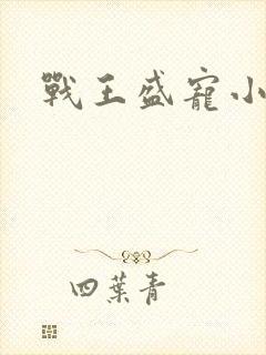 战王盛宠小医妃封面