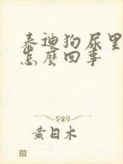 泰迪狗尿里带血怎么回事