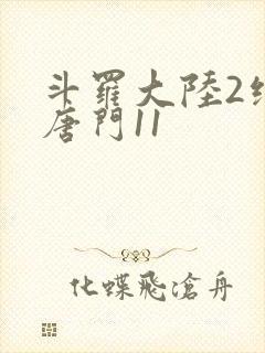 斗罗大陆2绝世唐门11