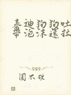 泰迪狗狗吐黄水带泡沫还拉稀