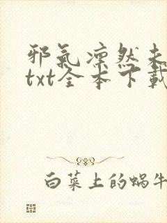 邪气凛然未删减txt全本下载