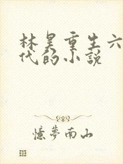林昊重生六零年代的小说
