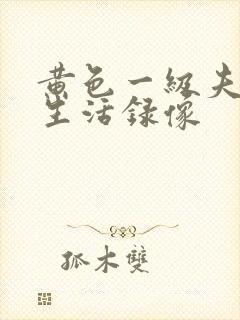 黄色一级夫妻性生活录像封面