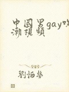 中国男gay吹潮视频