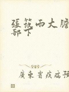 张筱雨大胆裸体部下封面