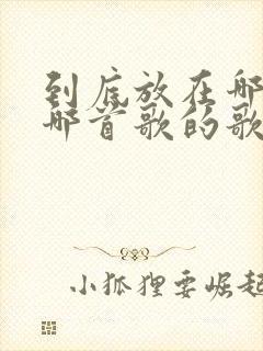 到底放在哪里是哪首歌的歌词