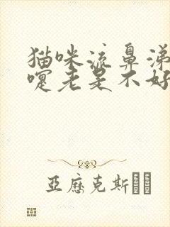 猫咪流鼻涕打喷嚏老是不好怎么办