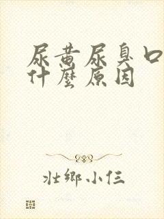 尿黄尿臭口苦是什么原因