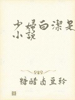 少妇白洁是哪本小说