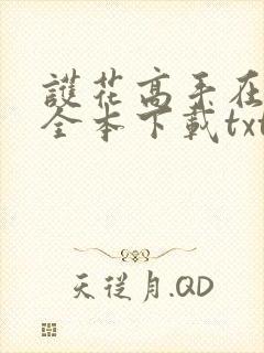 护花高手在都市全本下载txt