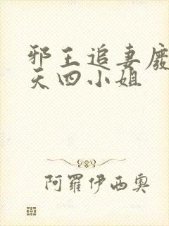 邪王追妻废材逆天四小姐封面