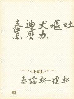 泰迪犬呕吐拉稀怎么办