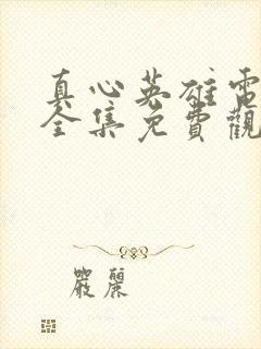 真心英雄电视剧全集免费观看高清